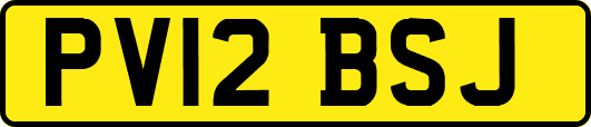 PV12BSJ