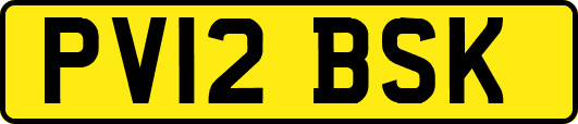 PV12BSK