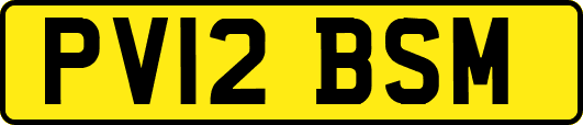 PV12BSM