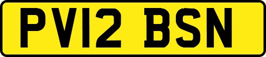 PV12BSN