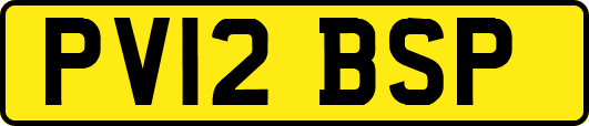 PV12BSP