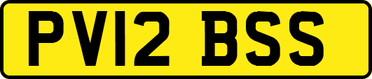 PV12BSS
