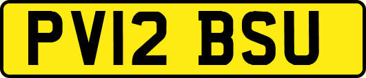 PV12BSU
