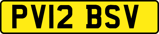 PV12BSV