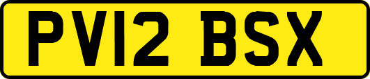 PV12BSX