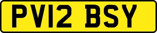 PV12BSY