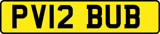 PV12BUB