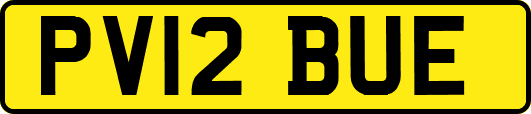 PV12BUE