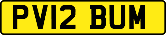 PV12BUM