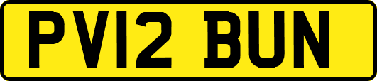 PV12BUN