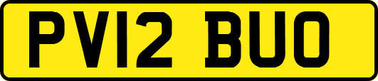 PV12BUO