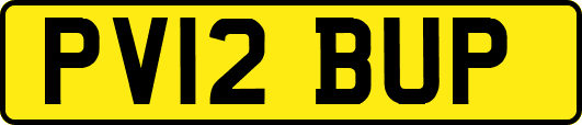 PV12BUP