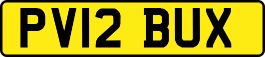 PV12BUX