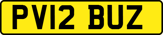 PV12BUZ