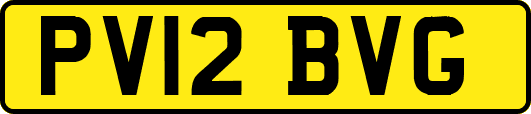 PV12BVG