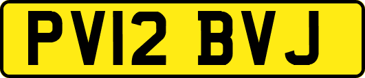 PV12BVJ