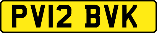 PV12BVK