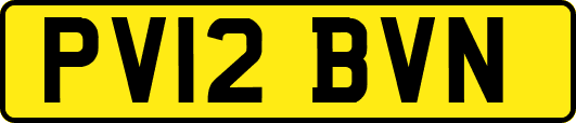 PV12BVN