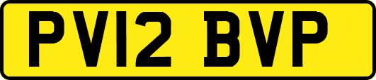 PV12BVP