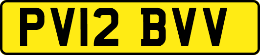 PV12BVV