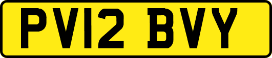 PV12BVY
