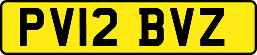 PV12BVZ