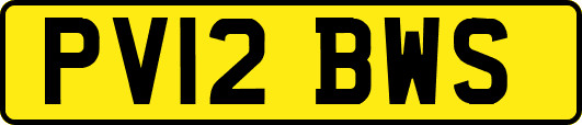 PV12BWS