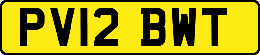 PV12BWT