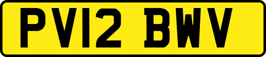 PV12BWV
