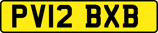 PV12BXB