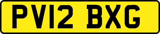 PV12BXG