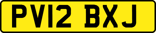 PV12BXJ