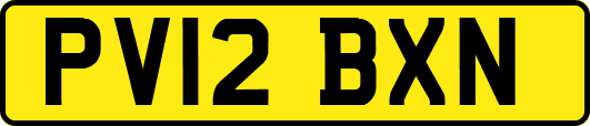 PV12BXN