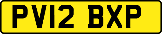 PV12BXP