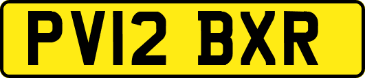 PV12BXR