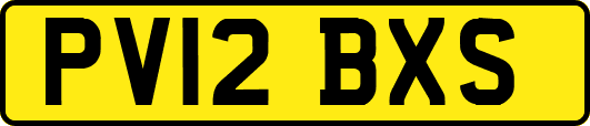 PV12BXS