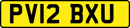 PV12BXU