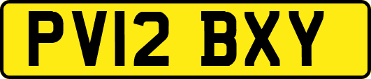 PV12BXY