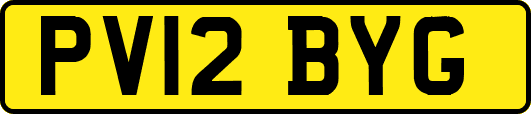 PV12BYG