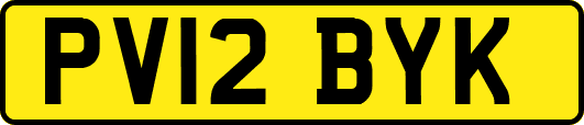 PV12BYK