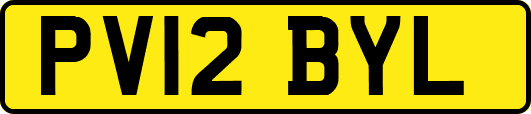 PV12BYL