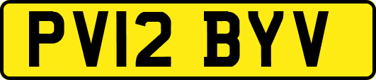 PV12BYV