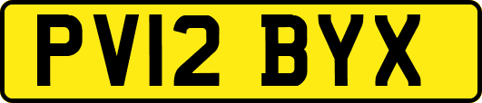 PV12BYX