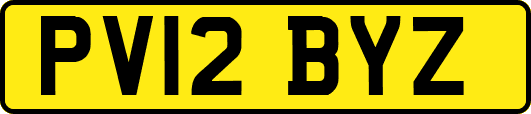 PV12BYZ