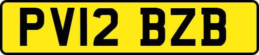 PV12BZB