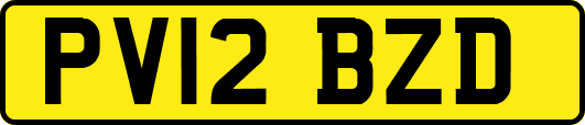 PV12BZD