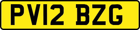 PV12BZG