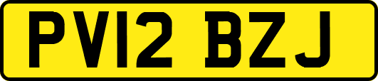 PV12BZJ