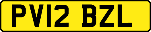 PV12BZL