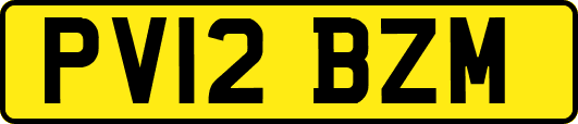 PV12BZM
